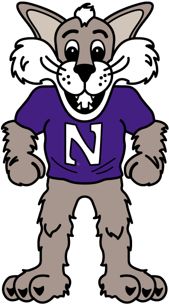 Northwestern Wildcats 1998-Pres Mascot Logo t shirts iron on transfers
